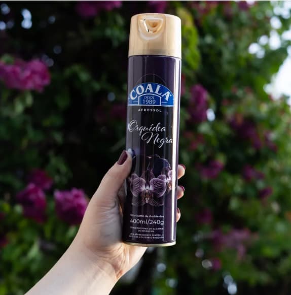 Coala Odorizante de Ambientes Aerossol Orquídea Negra 400 ml